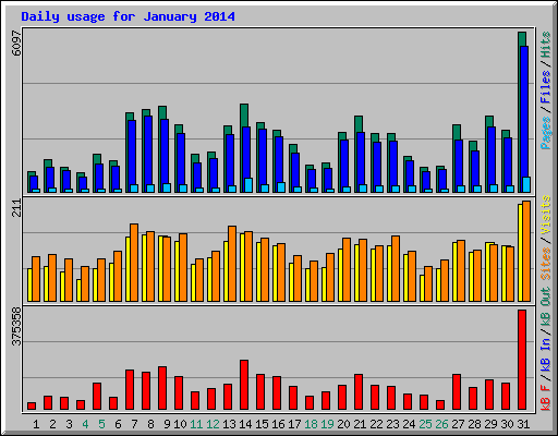 Daily usage for January 2014
