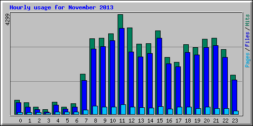 Hourly usage for November 2013