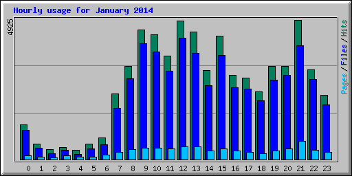 Hourly usage for January 2014